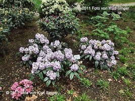 01-BUGA-Schloss-0025