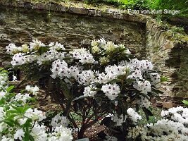 01-BUGA-Schloss-0026