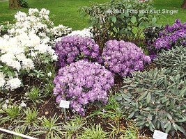 01-BUGA-Schloss-0027