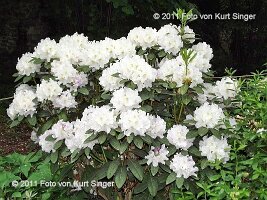 01-BUGA-Schloss-0028