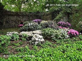 01-BUGA-Schloss-0029