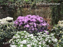 01-BUGA-Schloss-0030