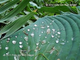 01-BUGA-Schloss-0031