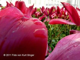 01-BUGA-Schloss-0034