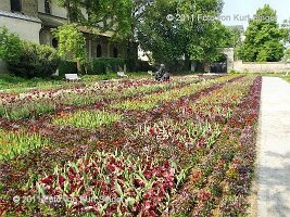 02-BUGA-Blumenhof-0002