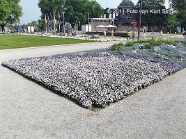 02-BUGA-Blumenhof-0011