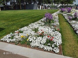 02-BUGA-Blumenhof-0012