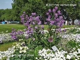 02-BUGA-Blumenhof-0013