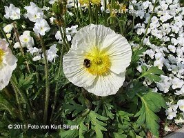 02-BUGA-Blumenhof-0020