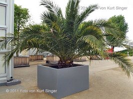 03-BUGA-Festung-0006