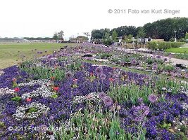 03-BUGA-Festung-0008