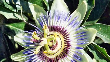 Letztes Wochenende-29