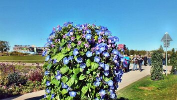 Letztes Wochenende-30