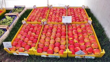 Letztes Wochenende-31