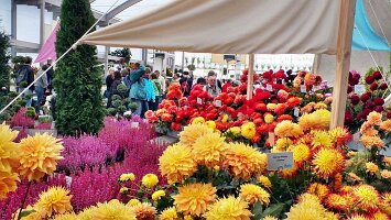 Letztes Wochenende-33