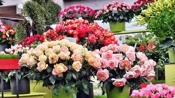 Letztes Wochenende-35