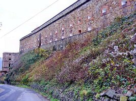 02 Niedere Ostfront-03