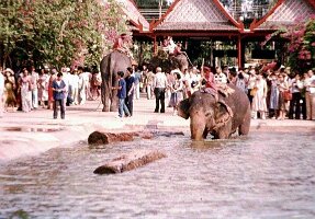Bangkok-83