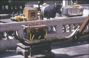 Bangkok Wat Phra Kheo 63