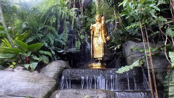 Golden Mount-10