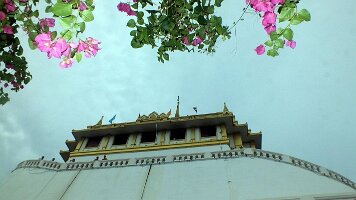 Golden Mount-17