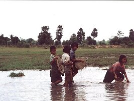 Ban Nong Waeng-18