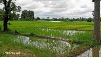 Ban Nong Waeng-56