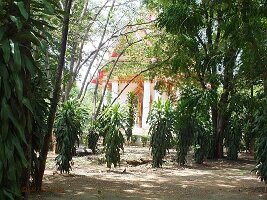 Magic-Cave-Land-05