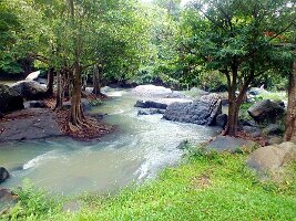 Nationalpark Tat Ton-11