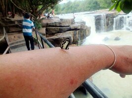 Nationalpark Tat Ton-23