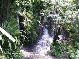 Wat Doi Suthep-004