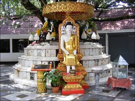 Wat Doi Suthep-007