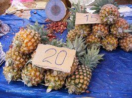 0011-Mae Hong Son