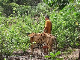 Menschen in Thailand-082