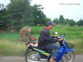 Menschen in Thailand-116