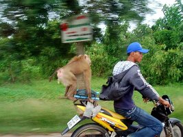 Menschen in Thailand-130