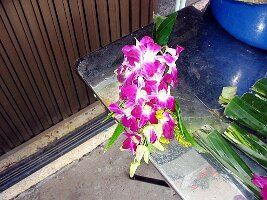 08-23-01-15
