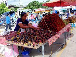 Chainat-08
