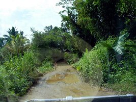 Padong-05