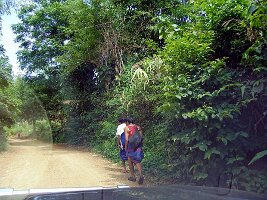 Padong-06