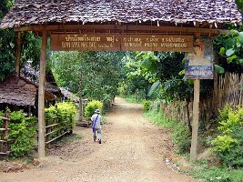 Padong-10