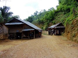 Padong-12