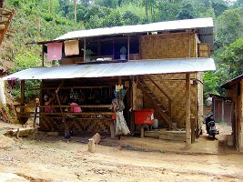 Padong-18