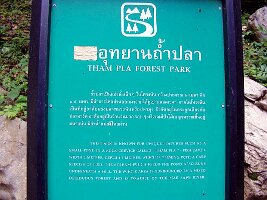 Tham-Phla-Forest-01