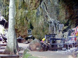 Tham-Phla-Forest-06