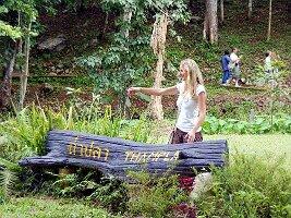 Tham-Phla-Forest-12