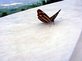 Doi-Suthep-20