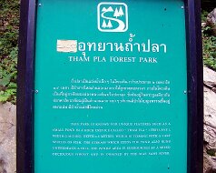 06-17-2 Tham Phla Forest