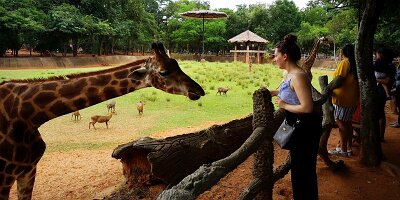 Korat Zoo-01