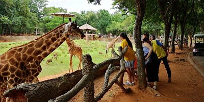 Korat Zoo-02